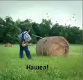 17828963227947.png