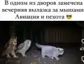 17828963228020.png