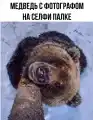 17833514711066.png