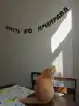 17834187161811.png