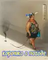 17838517588272.png