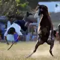 17838520938640.png