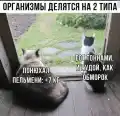 17841425246164.png