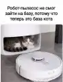 17842130973166.png