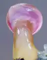 17842136277126.png