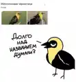 17845383178147.png