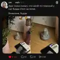 17846517334638.png