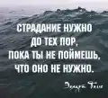 17848910754287.png
