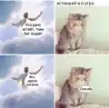 17851693773481.png