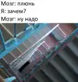 17852386666915.png