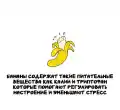 17852506809658.png