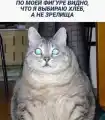 54065330878.png