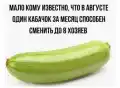 57571697428.png