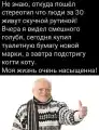 58403967863.png