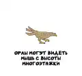 62137254657.png