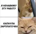 62982492809.png