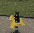 63540724625.png