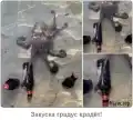 65328437279.png
