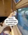 66445705179.png