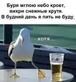 67297329770.png