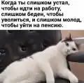 70461649640.png