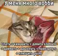 70656552265.png