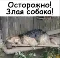 74931794476.png