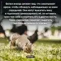 81013062230.png