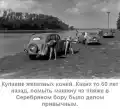 81021860535.png