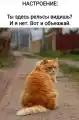 81031164479.png