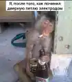 81055139955.png