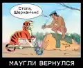 85122504729.png