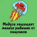 90372688607.png