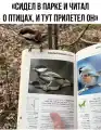 90606725830.png