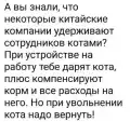 95782075038.png
